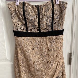 Extra Cute Body Fitting Lace Dress